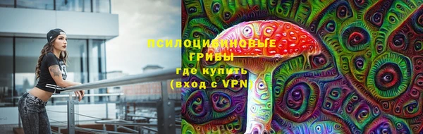 бошки Арсеньев