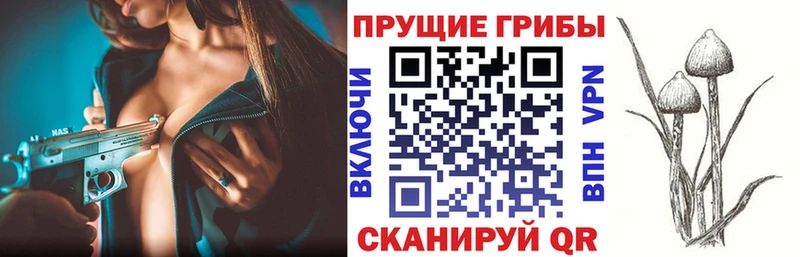 Галлюциногенные грибы мицелий  KRAKEN   Волжский  продажа наркотиков 