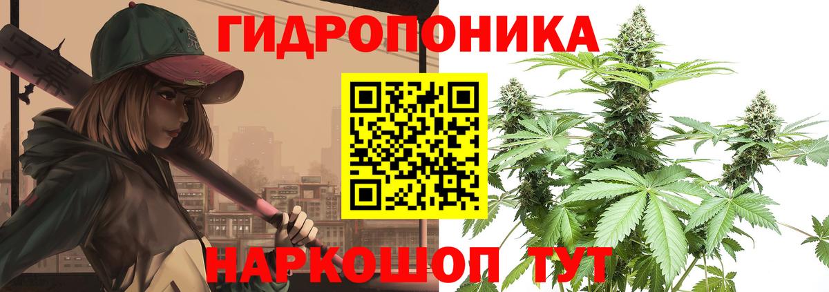 Марихуана гибрид Волжский